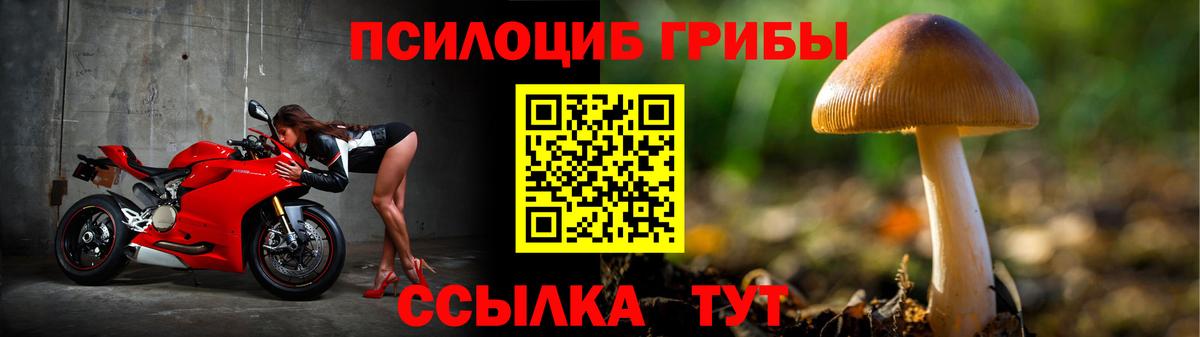 Сургут  Галлюциногенные грибы Psilocybe  Галлюциногенные грибы мухоморы  Вход с VPN 
